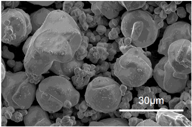 Lithium Cobalt Oxide - SEM - LC20X