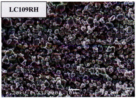 Lithium Cobalt Oxide - SEM_LC109RH
