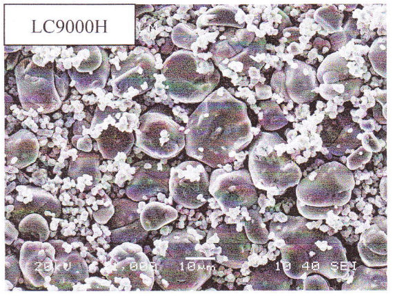 Lithium Cobalt oxide -SEM_LC9000H